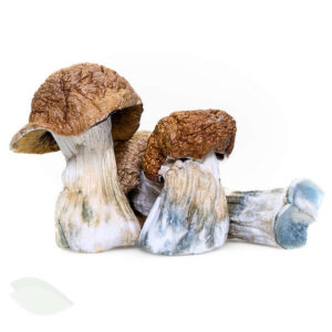 Tidal Wave Magic Mushrooms